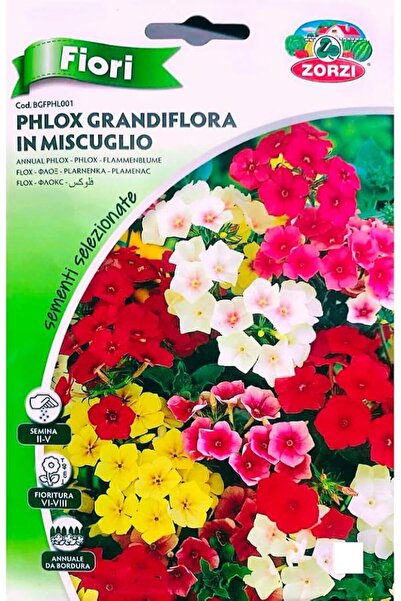 GENERAL Phlox Seeds 3 pact