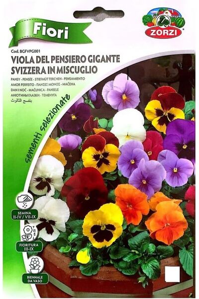 GENERAL Swiss Giant Mixed Trinity Violet Flower Seeds