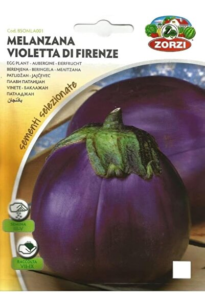 Generic Eggplant Seeds 2pact