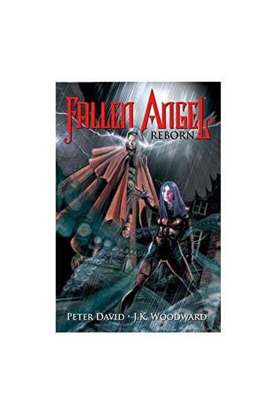 IDW Publishing Fallen Angel