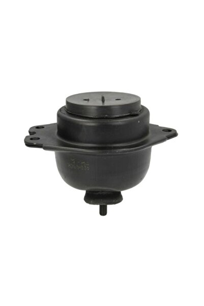 REINHOCH Suport motor RH11-2033