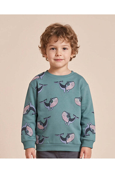 REDTAG Boys Teal Whale Print Sweatshirt