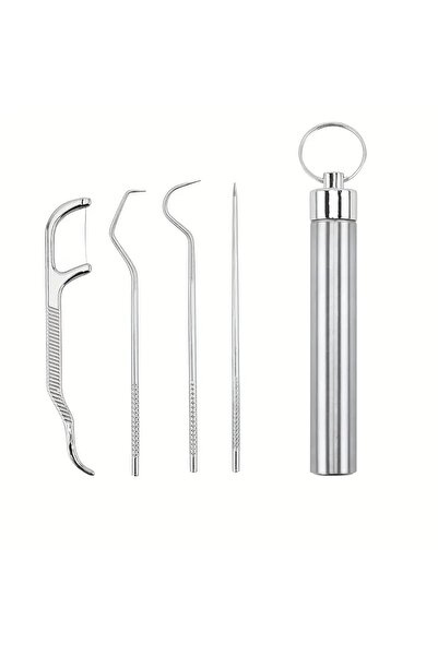choice2 4PCS Stainless Steel Toothpick Cleaning Tool, Reusable Toothpick Box ...