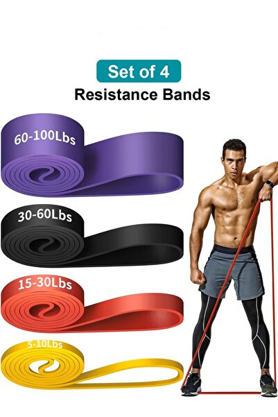 zeetwo Pack of 4 Resistance Bands Set for Workout and Pull Up Assistance | Ex...