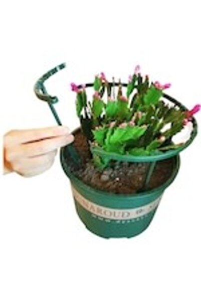 OEM Gardulet protectie flori, 4 piese, verde, plastic