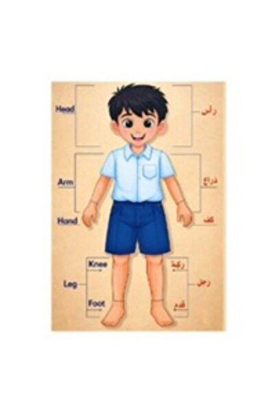 Thoth for Publishing and Distribution Wooden Human Body Puzzle for Kids - Bod...