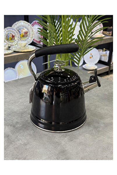 Doğudeko 3 Liter Stainless Steel Pressure Cooker Water Heater