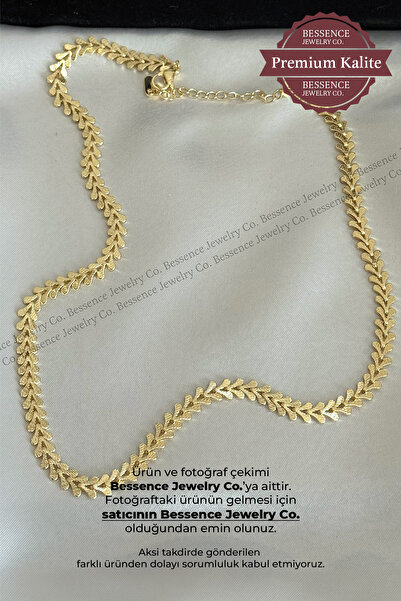 BESSENCE JEWELRY CO. CM Jew 14K Gold VIP Balıksırtı Yaprak Model Çelik Kolye,...