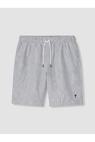 LC Waikiki Lacivert Regular Fit Çizgili Erkek Şort
