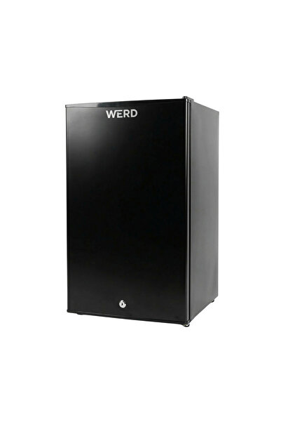 werd KAPI YÖNÜ DEĞİŞEBİLİR OBUS KARAVAN BUZDOLABI 12/24V BUZDOLABI 95 LİTRE