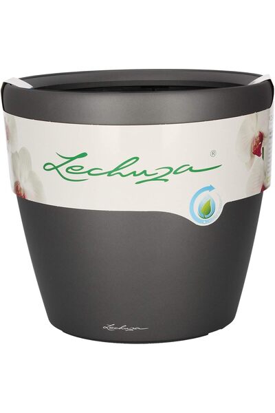 Lechuza Classico Premium 35 LS - All-In-One Charcoal | 1 pack, D35 H33 cm, Me...