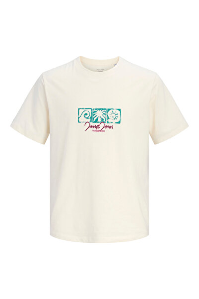 Jack & Jones JORRIVIERA FRONT TEE SS CREW NECK FST