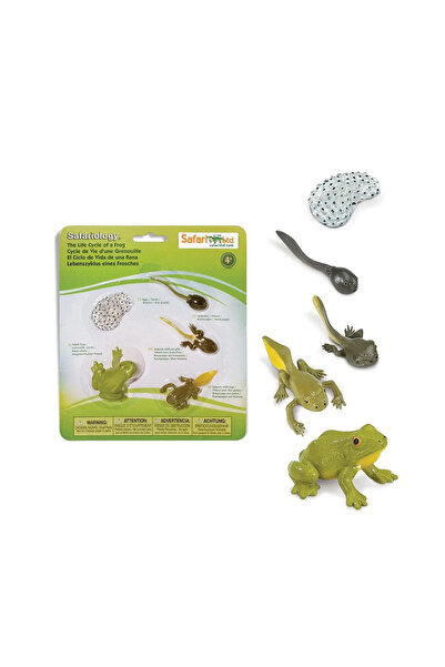 Safari Ltd Set de 4 figurine de safari cu ciclul de viață al broaștei