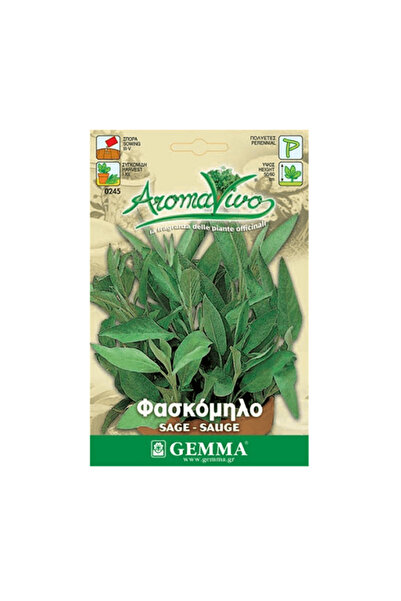 Gemma Σπόρος φασκόμηλου