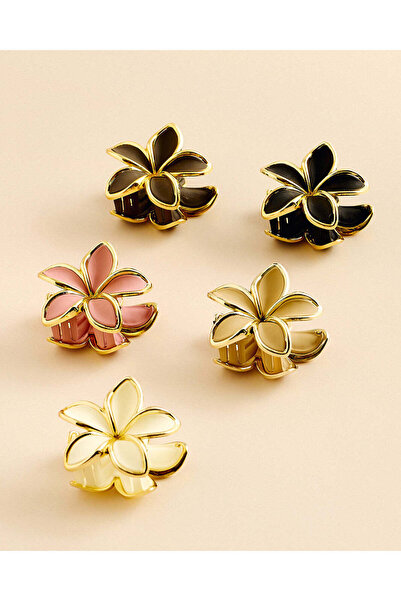 REDTAG Women Assorted Hair Clip Set (Pack Of 5)