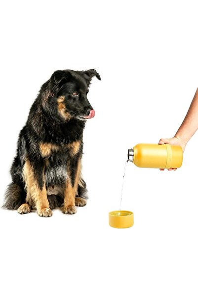 GENERAL Ubbi Pup + Me Water Bottle - Charcoal | Includes Attached Bowl for Wa...