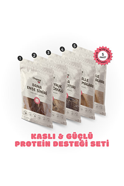 Güç & Enerji Seti
