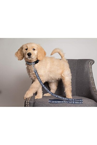 Pets First لعبة مطاطية للكلاب متينة مع حبل سحب قوي للكلاب. لعبة كرة هوكي الجل...