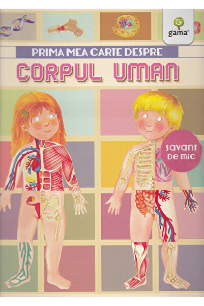 Gama Prima mea carte despre corpul uman - Renzo Barsotti