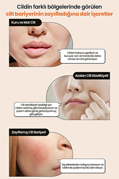 T'else Cilde Sıkı Görünüm ve Nem Sunan Aydınlatıcı Yaşlanma Karşıtı Krem TELSE Black Bean Ceramide Cream