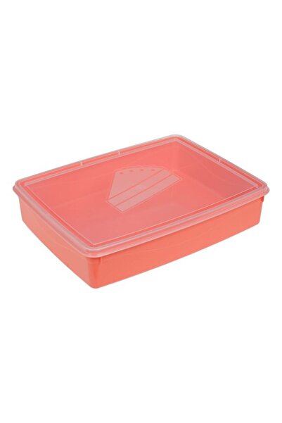 BAMI NETWORK Caserola Dreptunghiulara Corai Plastic 4.2L Capac Transparent