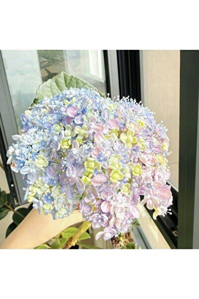 Bloom & Sow Seed Pastel Mixed‑Color Hydrangea Seeds, Large Cluster Blooms Orn...
