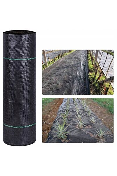 NO BRAND PLASĂ ANTIGHERITĂNĂ REZISTENTĂ DIN AGROFIBRĂ 70G, GROSĂ, 1.6x100m, N...