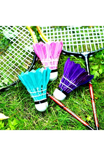 Nilsport Set mare de badminton, 4 rachete + 11 fluturași, 15 în 1, kit comple...
