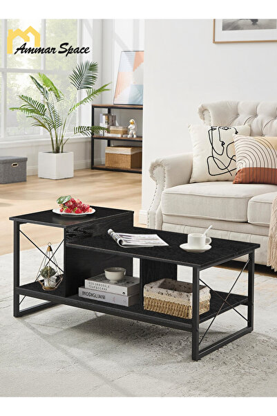 Ammar Space 2-Tier Wooden Center Table with Storage Shelf Modern Coffee Table...