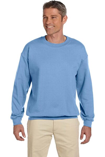 HANES mens Men's Ecosmart Fleece Sweatshirt Hooded Sweatshirt (pack of 1)