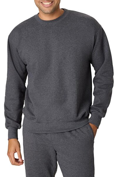 HANES mens Men's Ecosmart Fleece Sweatshirt Hooded Sweatshirt (pack of 1)