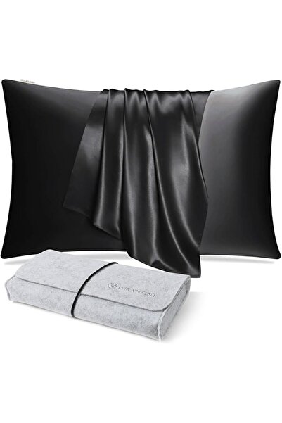 DISANGNI 100% Natural Mulberry Silk Pillow case for Hair and Skin with Hidden...
