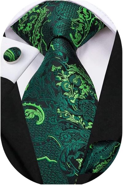 Dubulle Mens Paisely Silk Tie for Men Necktie and Pocket Square Set