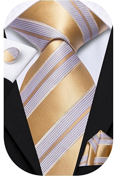 Dubulle Mens Paisely Silk Tie for Men Necktie and Pocket Square Set