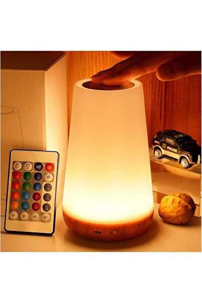 TodyJeyHo Portable Touch Lamp, Night Light, Portable Table Sensor Control Bed...