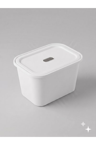 decosense Ultra Small 8 Liter 30X20X20 cm Polypropylene Plastic Organizer with White Lid - Toy Box and Storage Basket