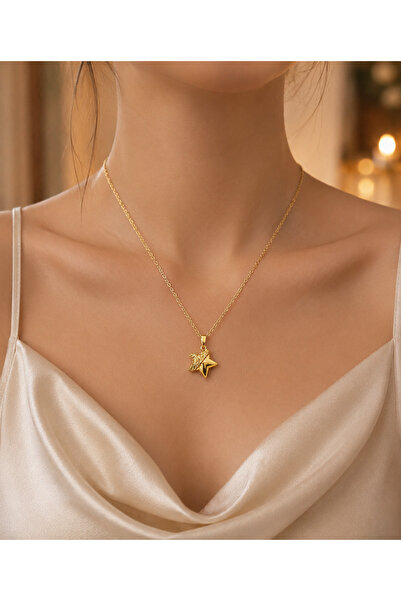 shop IŞIKLI KUTUDA İÇİ AÇILABİLEN KALPLİ GOLD YILDIZ KOLYE ÇELİK