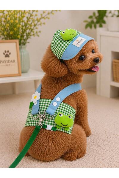 Payidar Pet Pet Fashion Cat/Dog Walking Combination – Special Design, Eleganc...