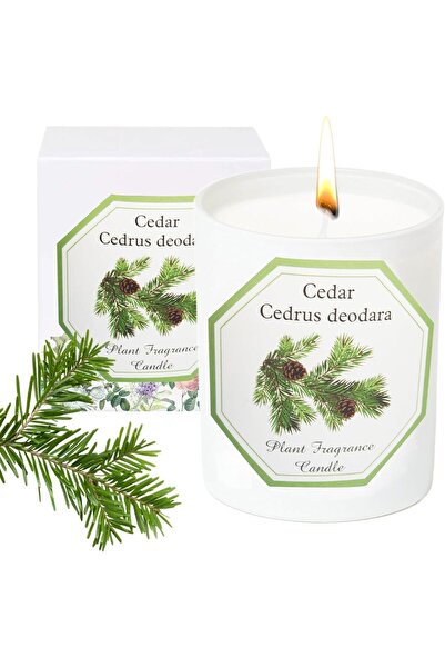 Arabest Cedarwood Scented Candle,Natural Soy Wax,Aromatherapy,Relaxing Fragra...