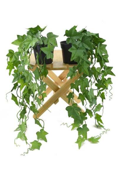 DRAMA HOME Artificial plant in a hanging pot indoor/outdoor