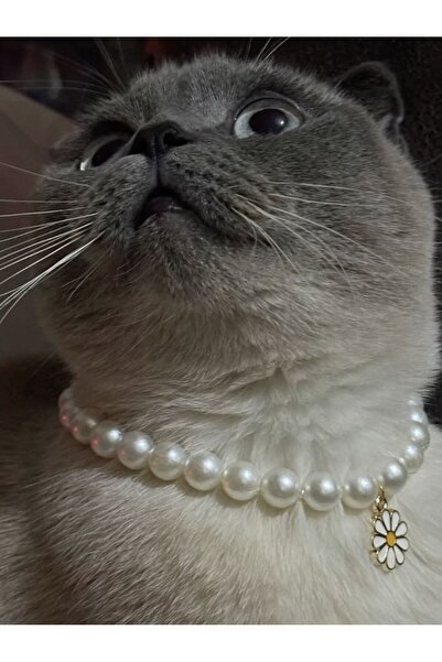 Kedi ve Küçük Köpekler için Zarif İnci Kolye