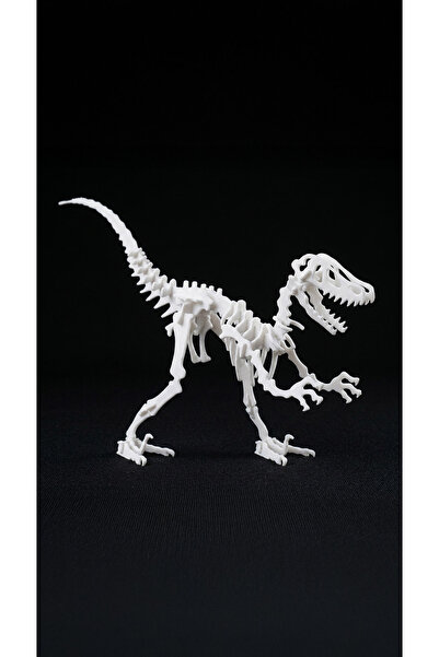 STAAU Çocuk 3D Dinosaur Skeleton Puzzle – Assemble and Educate with This Educ...