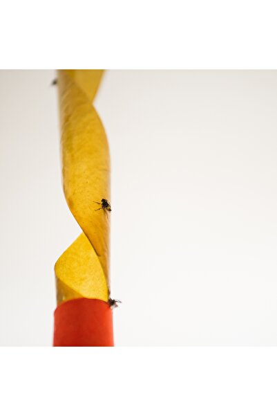 NO BRAND Set spirală insecticidă RAID + Capcană adezivă pentru muște + Autoco...