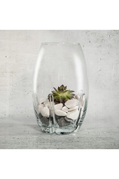 NO BRAND WAZON GLASS MANDARIN 19CM EDWANEX