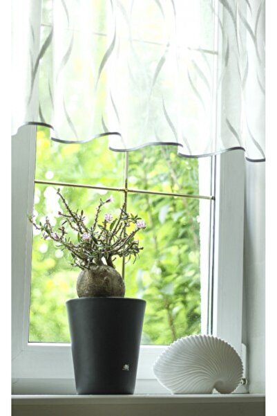 NO BRAND ghiveci alb pentru HIDROPOONICĂ 22/19 Vasa 27/22 cm