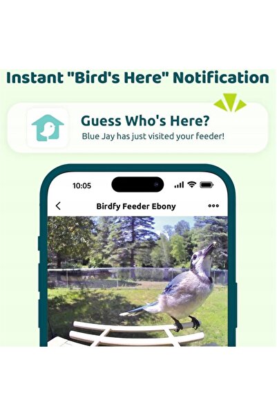 NO BRAND Hrănitoare pentru păsări cu cameră Birdfy Feeder Ebony LE