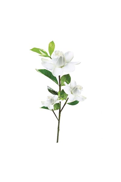 Generic Brand Cape Jasmine Wall Stickers, Home Decoration DIY Removable Wall ...