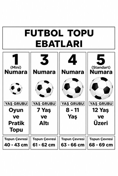 Galatasaray Champion 2026 Yeni Sezon No:5 Yıldız Serisi Futbol Topu + Futbolcu Kitabı Poster Hediyeli – Osimhen