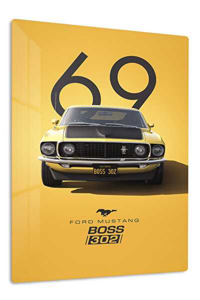 Emesa Art 1969 Ford Mustang 302 Metal Wall Art