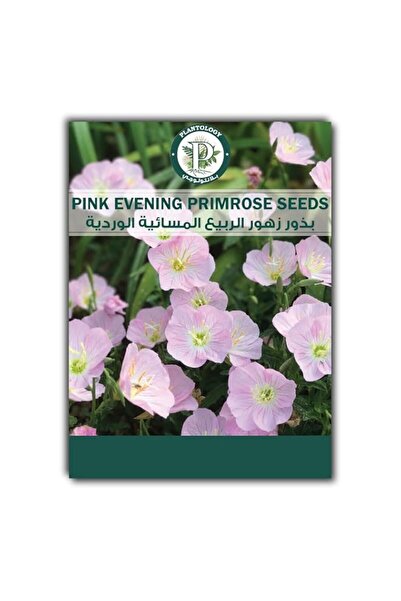 Generic Evening Primrose Seeds for Planting - Pink Evening Primrose Flower Se...